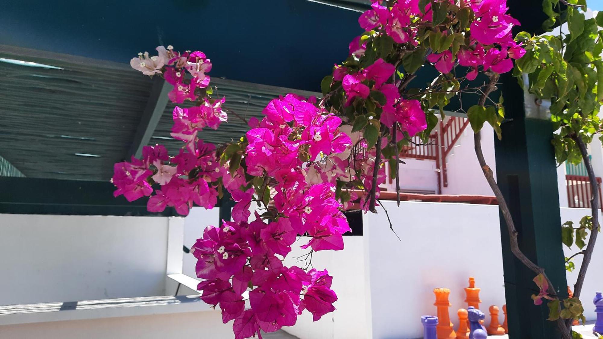 Ons Fontein Villa Лангебан Екстериор снимка